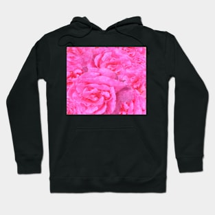 Flower Roses Pattern Hoodie